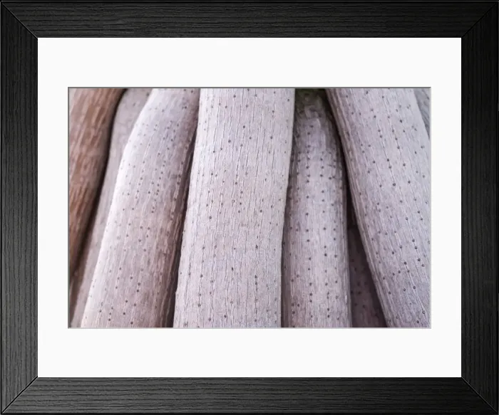 Framed Print : Picture No. 11807105 Framed Print : Picture No. 11807105