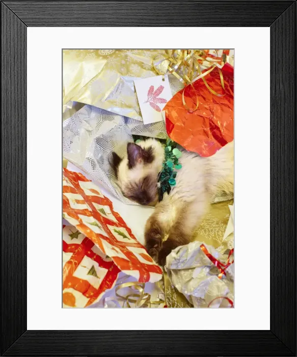 Framed Print : Picture No. 11807109 Framed Print : Picture No. 11807109