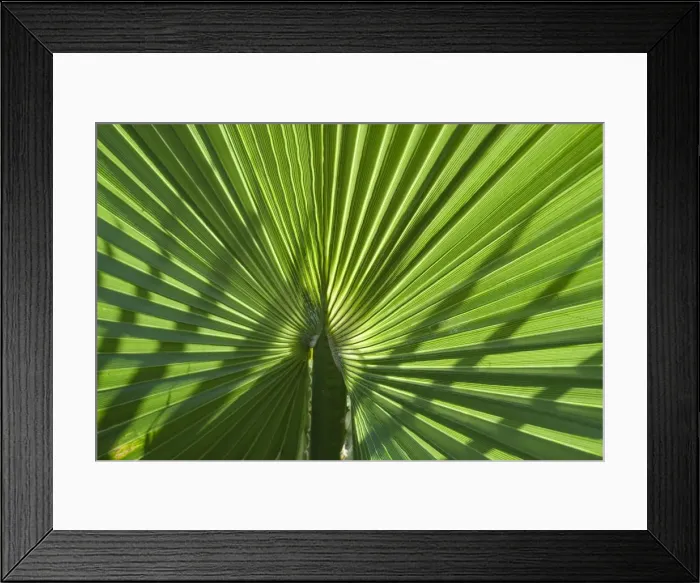 Framed Print : Picture No. 11807111 Framed Print : Picture No. 11807111
