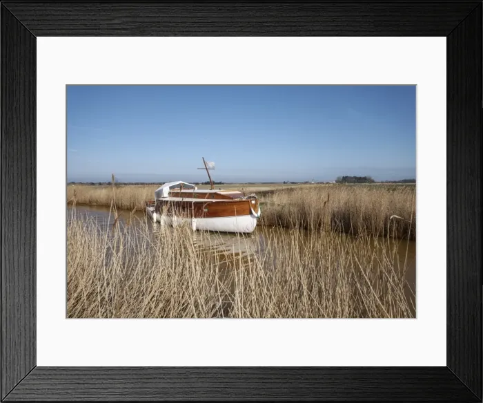 Framed Print : Picture No. 11807134 Framed Print : Picture No. 11807134