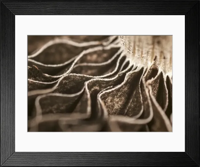 Framed Print : Picture No. 11807161 Framed Print : Picture No. 11807161