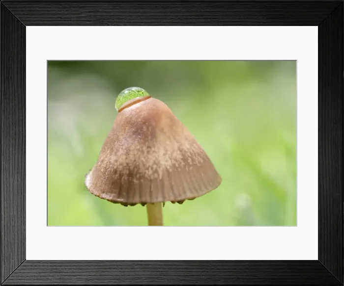 Framed Print : Picture No. 11807167 Framed Print : Picture No. 11807167