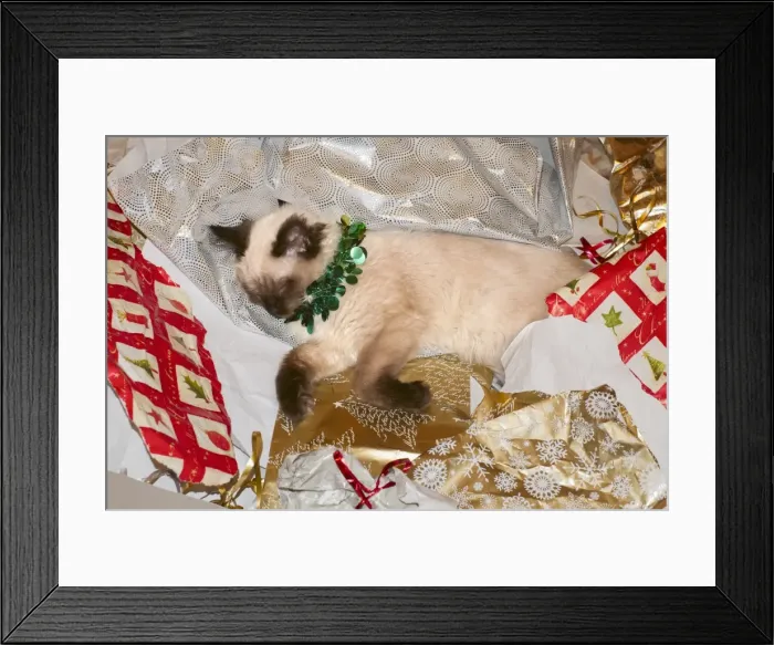 Framed Print : Picture No. 11807188 Framed Print : Picture No. 11807188
