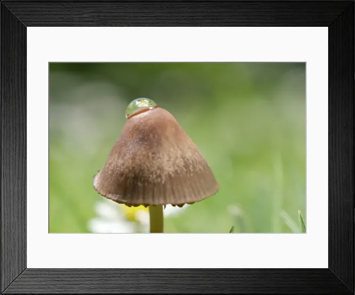 Framed Print : Picture No. 11807189 Framed Print : Picture No. 11807189