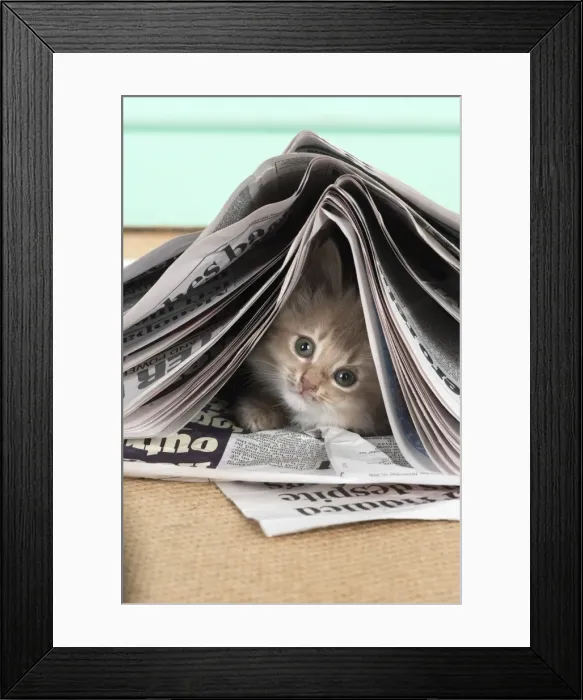 Framed Print : Picture No. 11807222 Framed Print : Picture No. 11807222