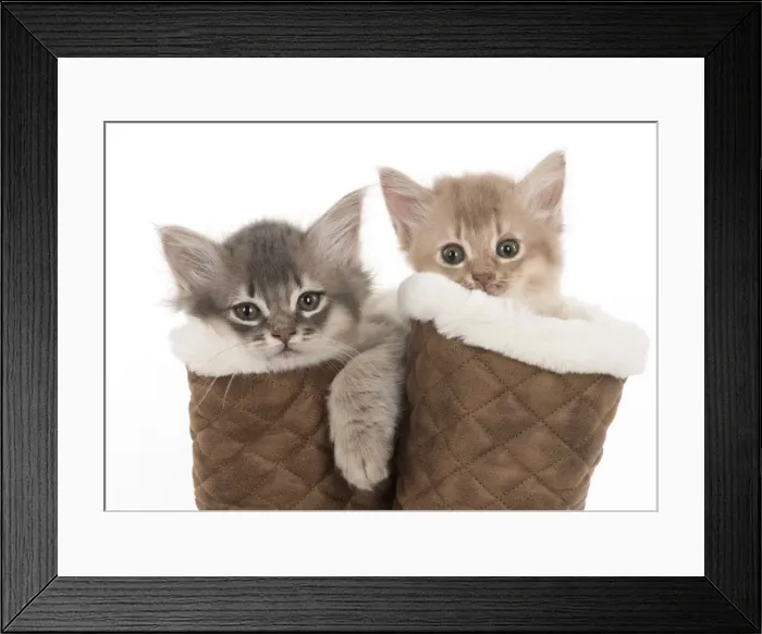 Framed Print : Picture No. 11807251 Framed Print : Picture No. 11807251