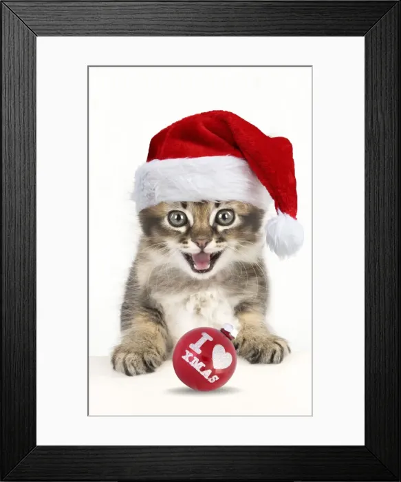 Framed Print : Picture No. 11807259 Framed Print : Picture No. 11807259