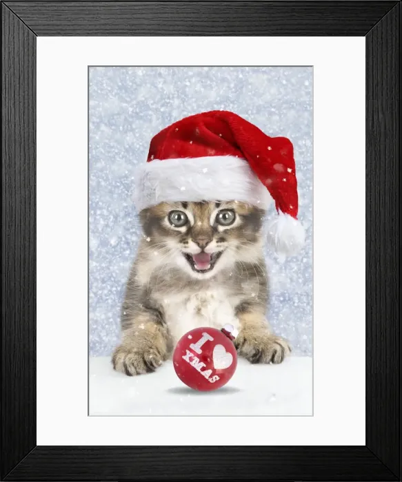 Framed Print : Picture No. 11807258 Framed Print : Picture No. 11807258