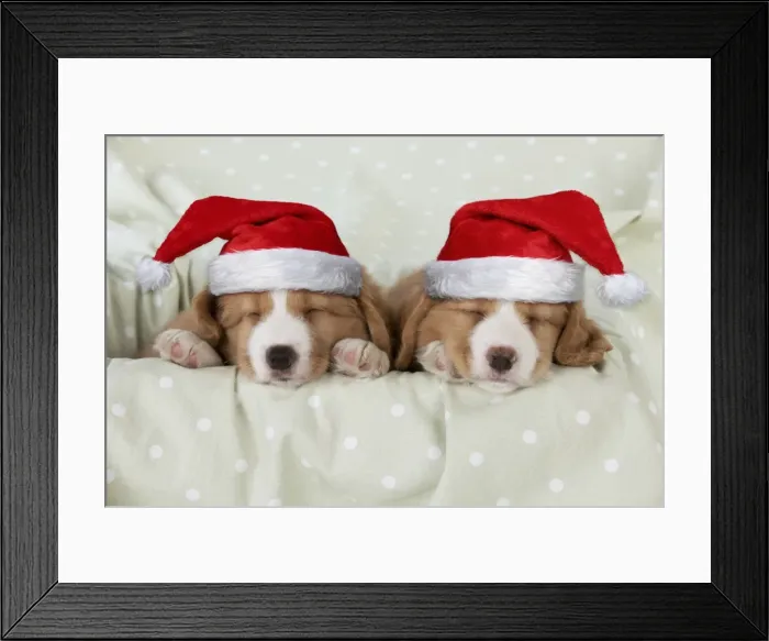 Framed Print : Picture No. 11807260 Framed Print : Picture No. 11807260