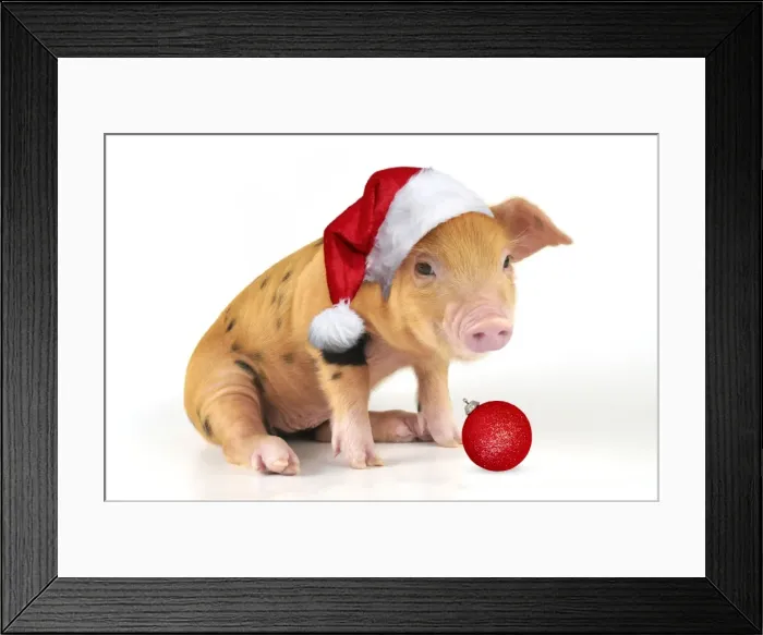 Framed Print : Picture No. 11807265 Framed Print : Picture No. 11807265