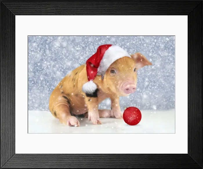 Framed Print : Picture No. 11807264 Framed Print : Picture No. 11807264