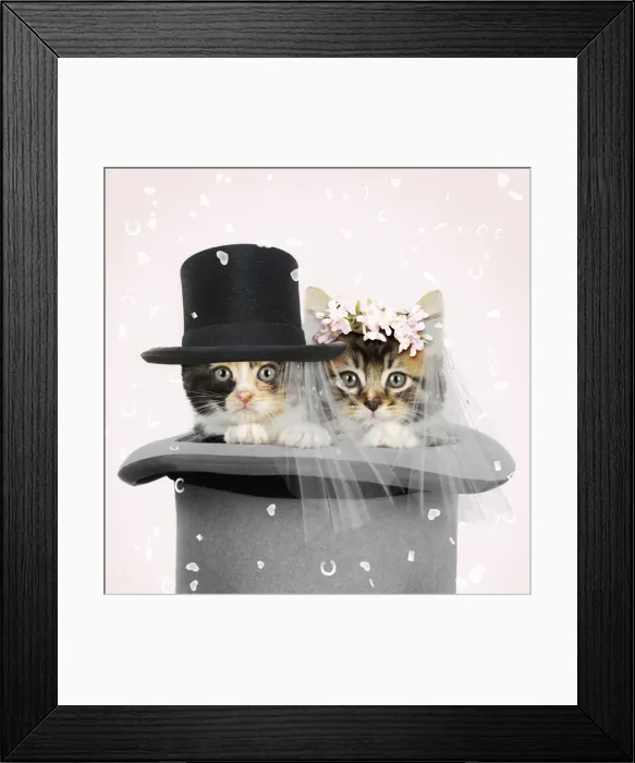 Framed Print : Picture No. 11807269 Framed Print : Picture No. 11807269