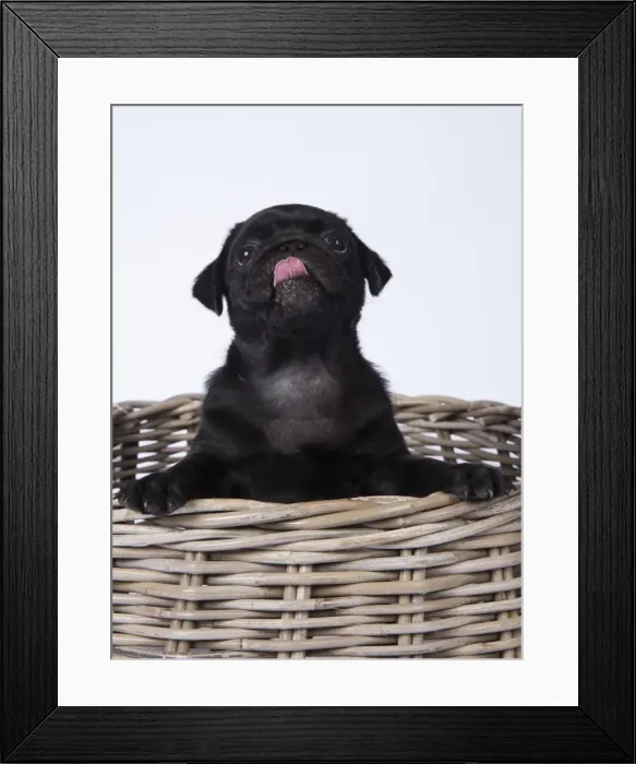 Framed Print : Picture No. 11807314 Framed Print : Picture No. 11807314
