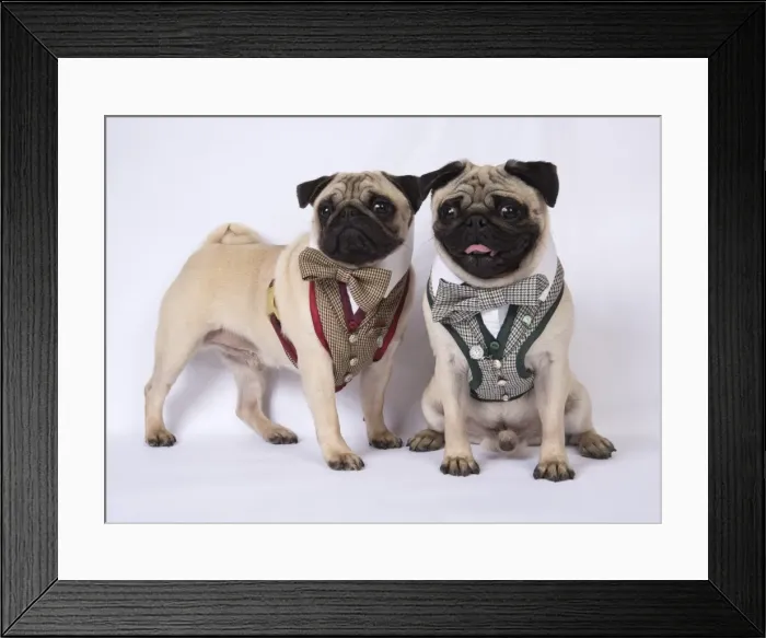 Framed Print : Picture No. 11807331 Framed Print : Picture No. 11807331