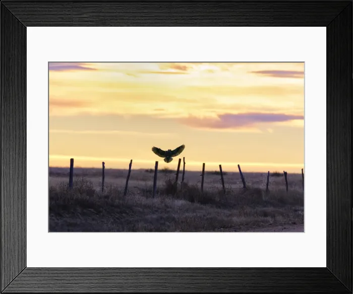 Framed Print : Picture No. 11807419 Framed Print : Picture No. 11807419