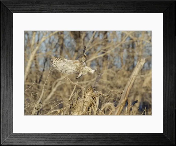 Framed Print : Picture No. 11807424 Framed Print : Picture No. 11807424