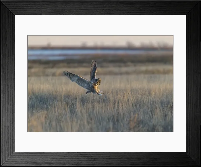 Framed Print : Picture No. 11807430 Framed Print : Picture No. 11807430