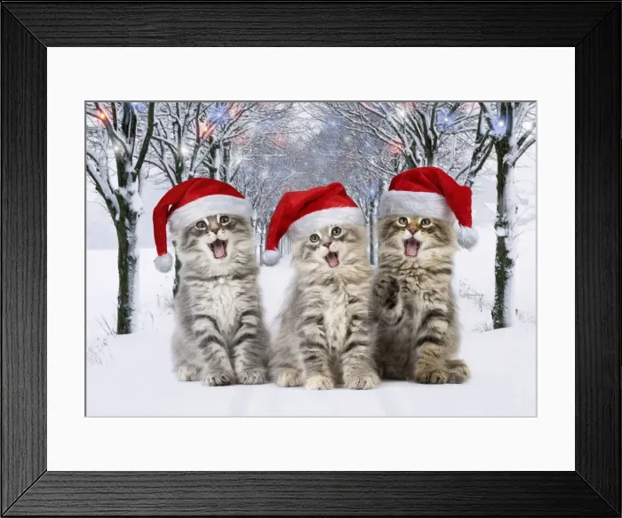 Framed Print : Picture No. 11807492 Framed Print : Picture No. 11807492