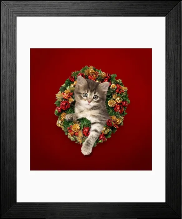 Framed Print : Picture No. 11807493 Framed Print : Picture No. 11807493