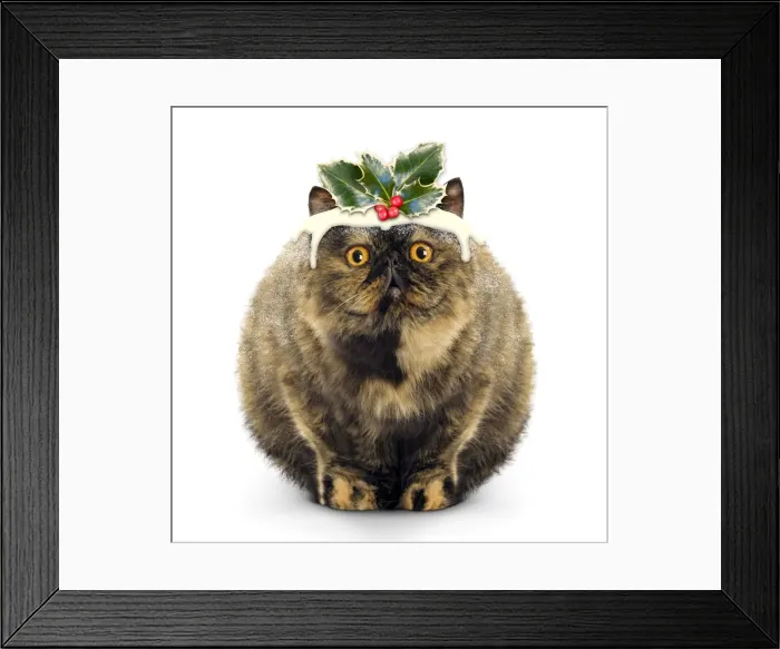 Framed Print : Picture No. 11807495 Framed Print : Picture No. 11807495