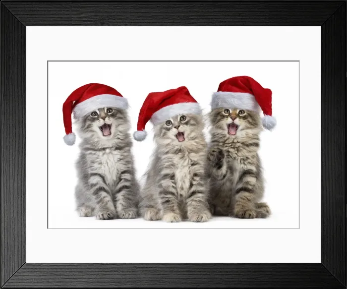 Framed Print : Picture No. 11807494 Framed Print : Picture No. 11807494