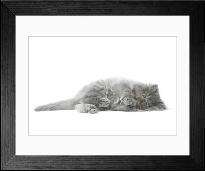 Framed Print : Picture No. 11807532 Framed Print : Picture No. 11807532