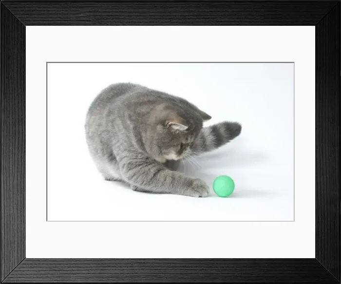 Framed Print : Picture No. 11807588 Framed Print : Picture No. 11807588