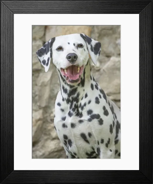 Framed Print : Picture No. 11808010 Framed Print : Picture No. 11808010