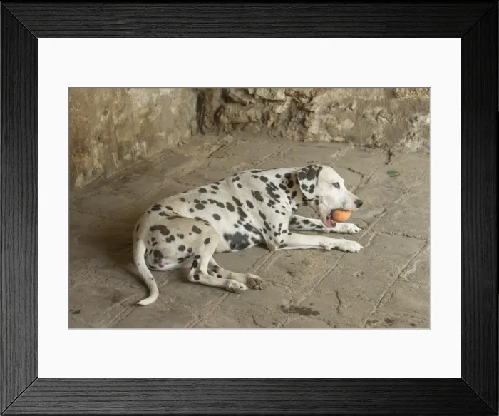 Framed Print : Picture No. 11808028 Framed Print : Picture No. 11808028