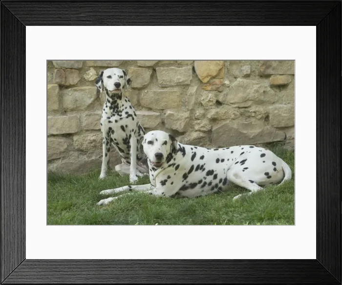 Framed Print : Picture No. 11808030 Framed Print : Picture No. 11808030