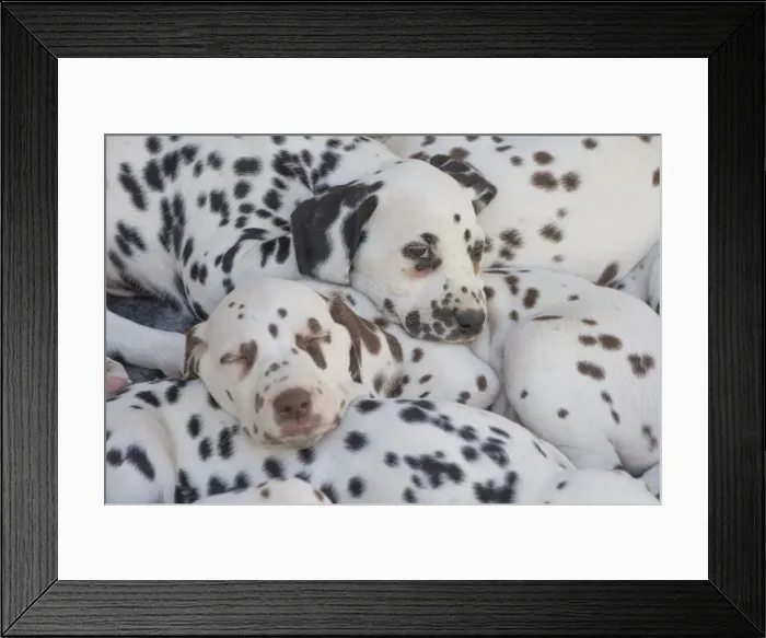Framed Print : Picture No. 11808032 Framed Print : Picture No. 11808032