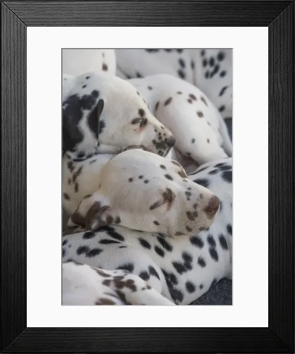 Framed Print : Picture No. 11808035 Framed Print : Picture No. 11808035