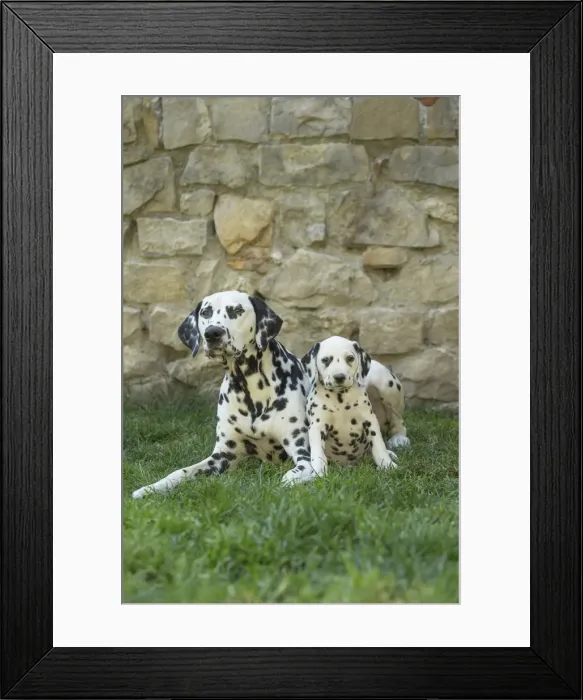 Framed Print : Picture No. 11808049 Framed Print : Picture No. 11808049