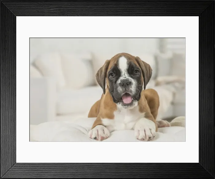 Framed Print : Picture No. 11808059 Framed Print : Picture No. 11808059