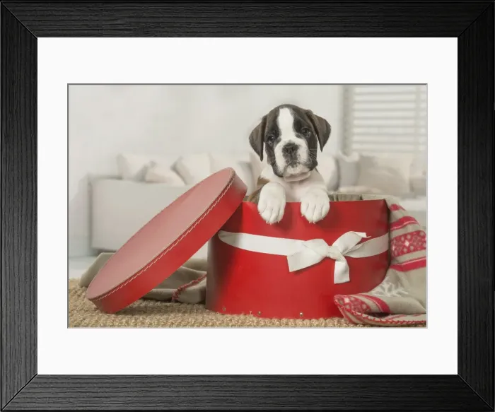 Framed Print : Picture No. 11808061 Framed Print : Picture No. 11808061