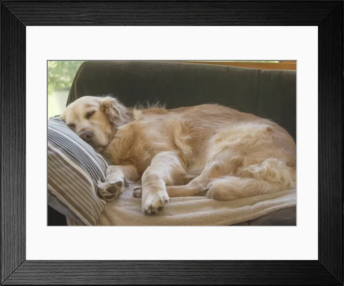 Framed Print : Picture No. 11808113 Framed Print : Picture No. 11808113