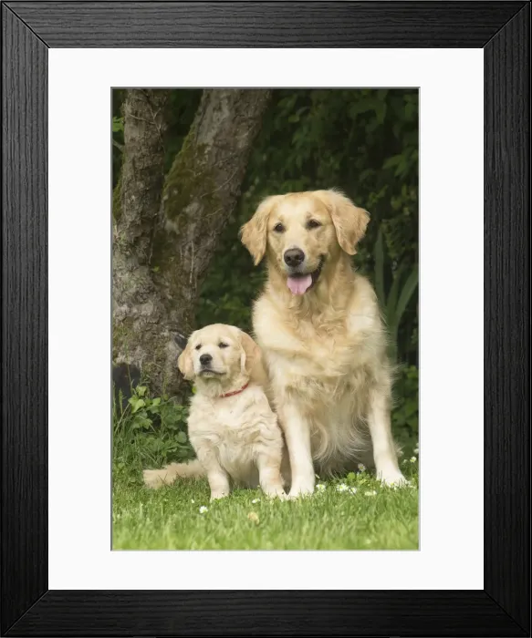 Framed Print : Picture No. 11808125 Framed Print : Picture No. 11808125
