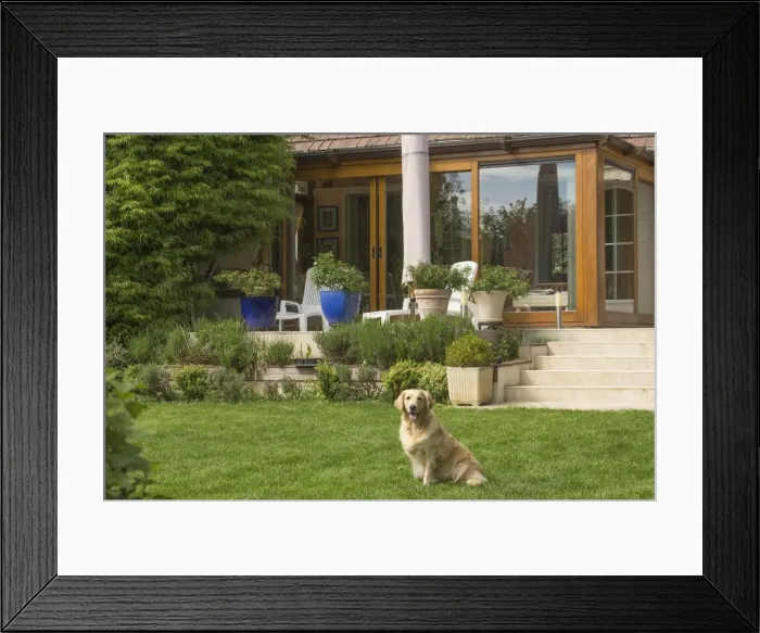 Framed Print : Picture No. 11808193 Framed Print : Picture No. 11808193