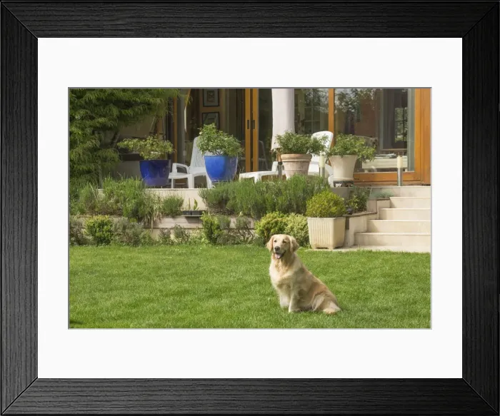 Framed Print : Picture No. 11808194 Framed Print : Picture No. 11808194
