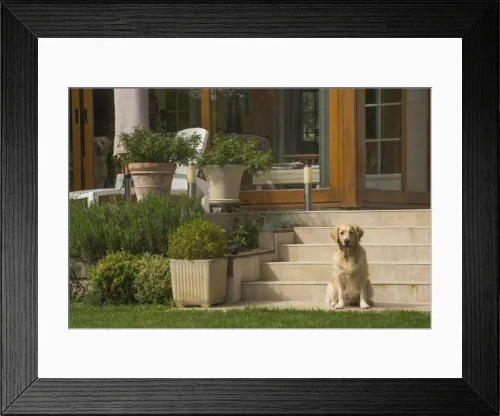 Framed Print : Picture No. 11808195 Framed Print : Picture No. 11808195