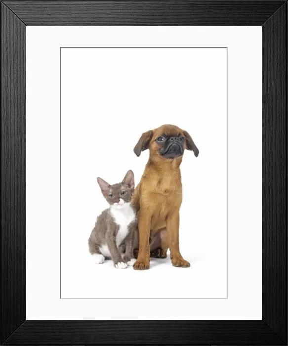 Framed Print : Picture No. 11808225 Framed Print : Picture No. 11808225