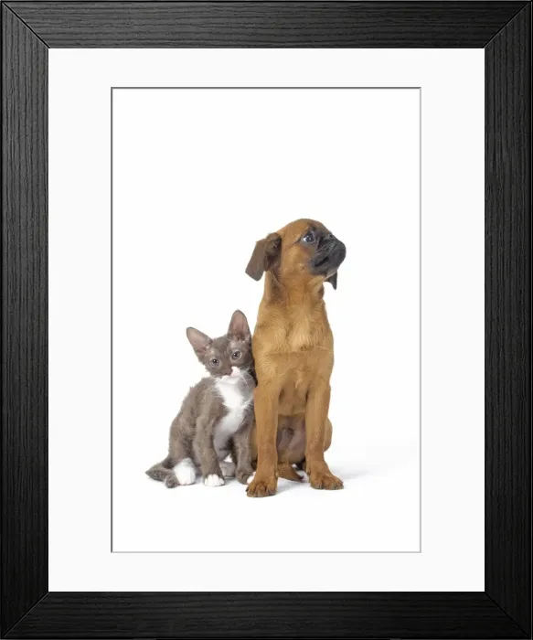Framed Print : Picture No. 11808224 Framed Print : Picture No. 11808224