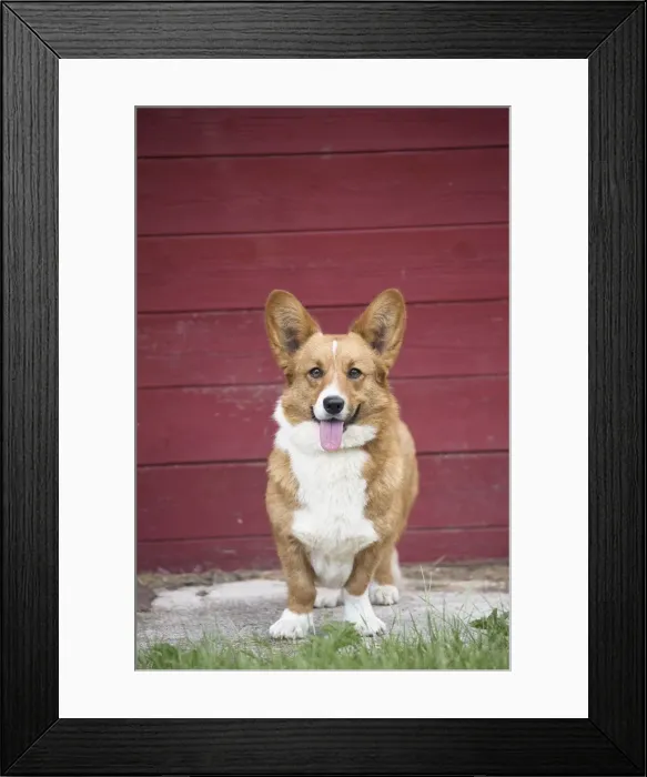 Framed Print : Picture No. 11808241 Framed Print : Picture No. 11808241
