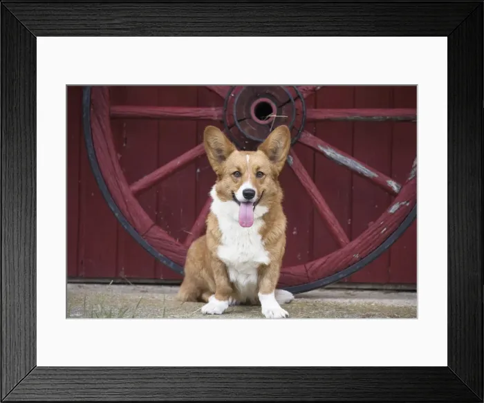 Framed Print : Picture No. 11808244 Framed Print : Picture No. 11808244