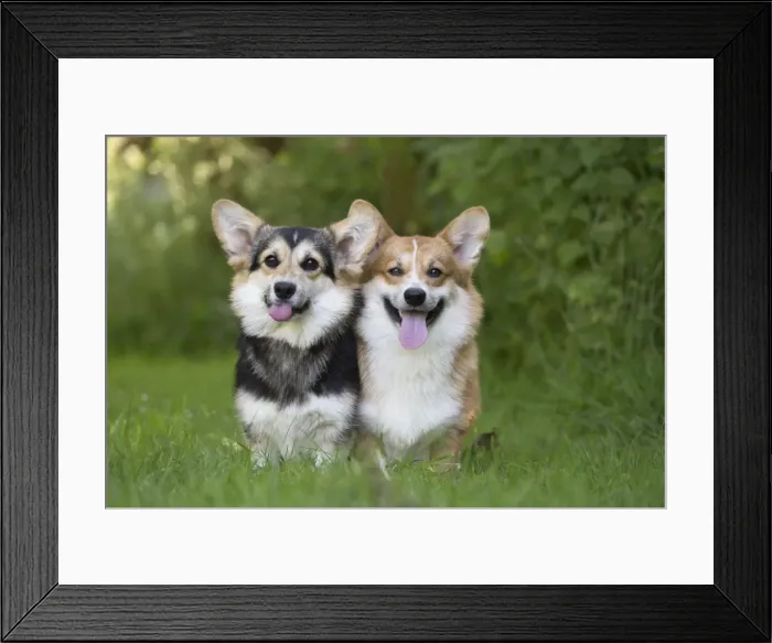 Framed Print : Picture No. 11808267 Framed Print : Picture No. 11808267