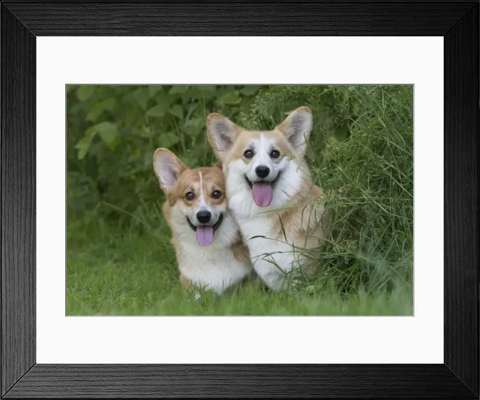 Framed Print : Picture No. 11808271 Framed Print : Picture No. 11808271