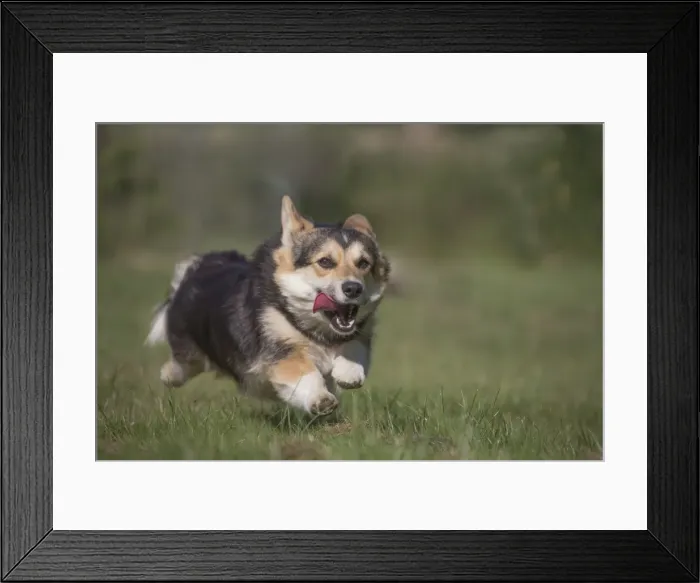 Framed Print : Picture No. 11808272 Framed Print : Picture No. 11808272