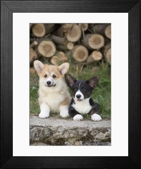 Framed Print : Picture No. 11808297 Framed Print : Picture No. 11808297