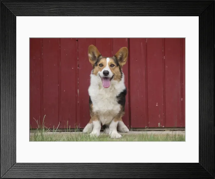 Framed Print : Picture No. 11808313 Framed Print : Picture No. 11808313