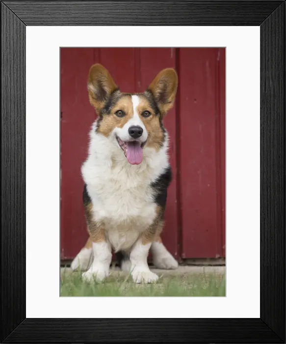Framed Print : Picture No. 11808314 Framed Print : Picture No. 11808314